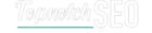 topnotch seo logo