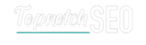 topnotch seo logo